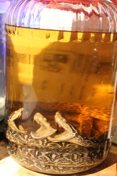 Impressionen Okinawa 2018 - Awamori