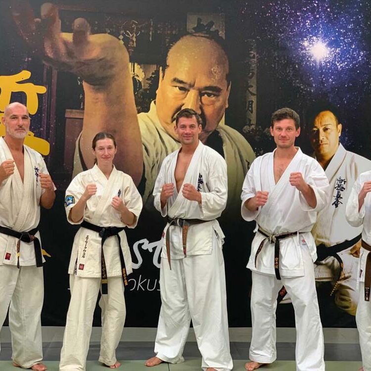 Shinkyokushinkai Lehrgang Lille