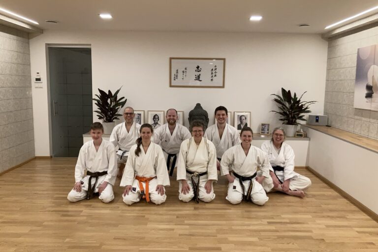 100 Kata Challenge 23.12.2021- Okinawa Shorin-Ryu Karateschule Konz