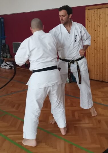 24./25. September 3. Shubukan Seminar Frankfurt mit Jan Gyuris Sensei