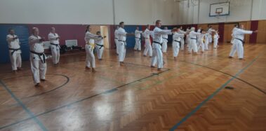 24./25. September 3. Shubukan Seminar Frankfurt mit Jan Gyuris Sensei