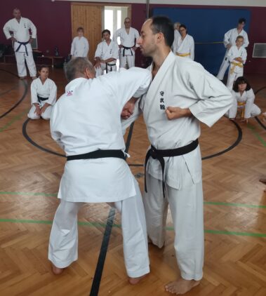 24./25. September 3. Shubukan Seminar Frankfurt mit Jan Gyuris Sensei