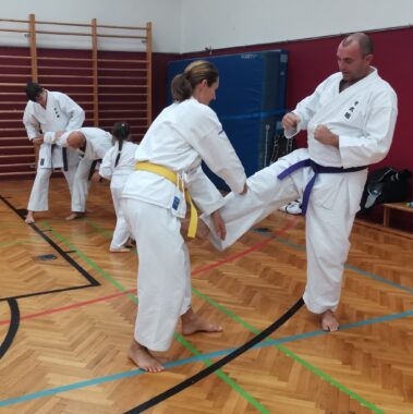 24./25. September 3. Shubukan Seminar Frankfurt mit Jan Gyuris Sensei