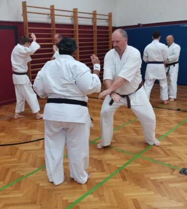 24./25. September 3. Shubukan Seminar Frankfurt mit Jan Gyuris Sensei