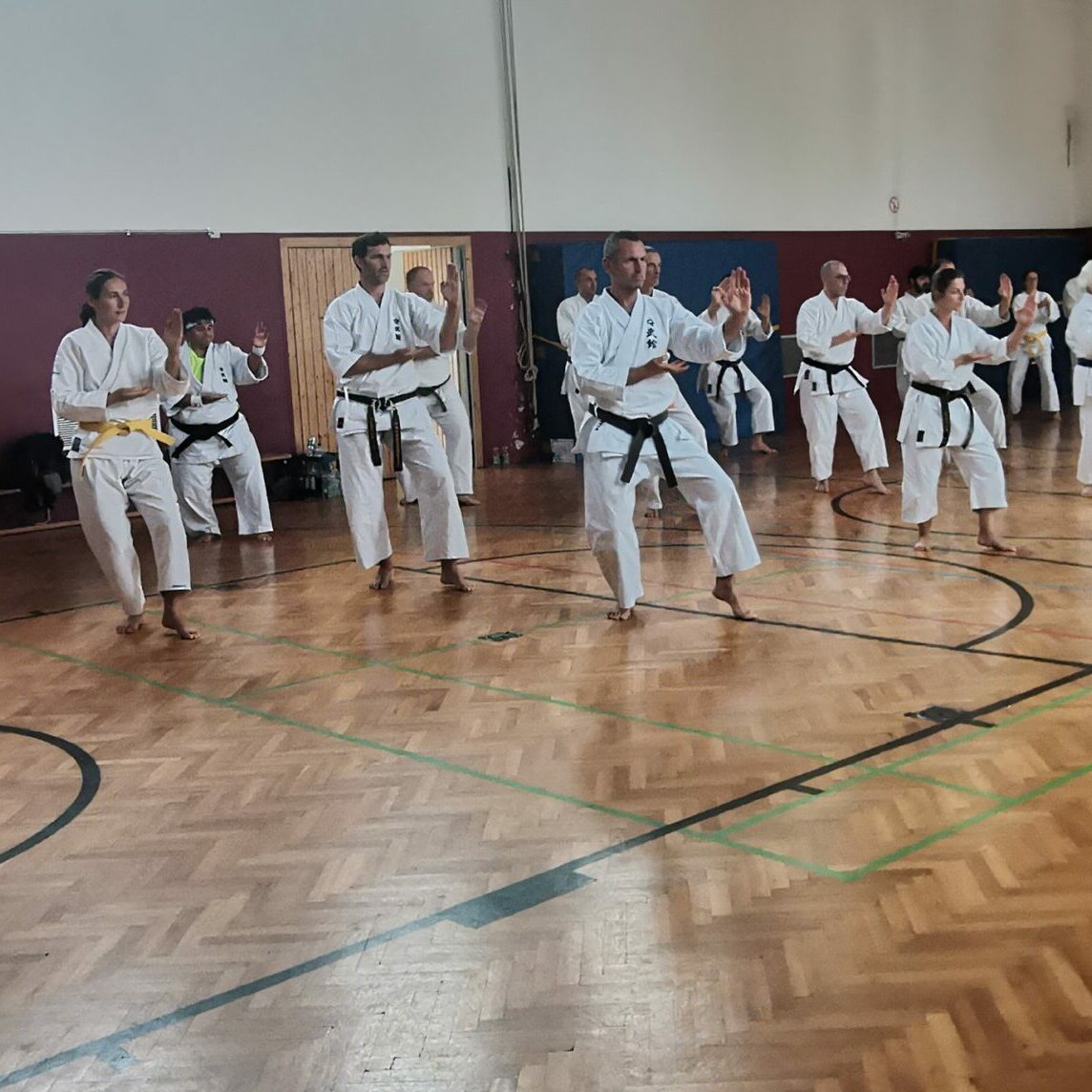 24./25. September 3. Shubukan Seminar Frankfurt mit Jan Gyuris Sensei