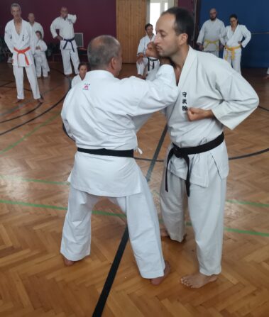 24./25. September 3. Shubukan Seminar Frankfurt mit Jan Gyuris Sensei
