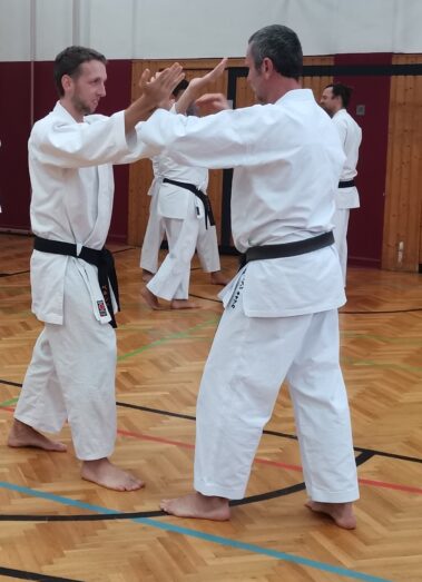 24./25. September 3. Shubukan Seminar Frankfurt mit Jan Gyuris Sensei