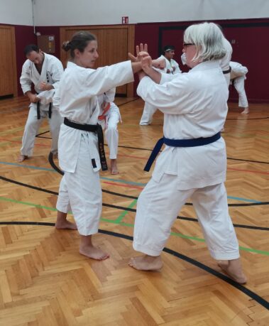 24./25. September 3. Shubukan Seminar Frankfurt mit Jan Gyuris Sensei