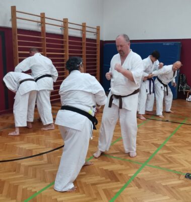 24./25. September 3. Shubukan Seminar Frankfurt mit Jan Gyuris Sensei