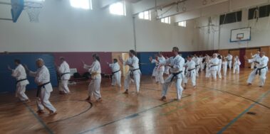 24./25. September 3. Shubukan Seminar Frankfurt mit Jan Gyuris Sensei