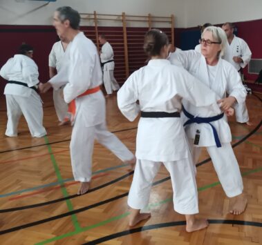 24./25. September 3. Shubukan Seminar Frankfurt mit Jan Gyuris Sensei