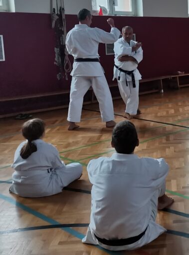 24./25. September 3. Shubukan Seminar Frankfurt mit Jan Gyuris Sensei