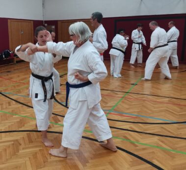 24./25. September 3. Shubukan Seminar Frankfurt mit Jan Gyuris Sensei