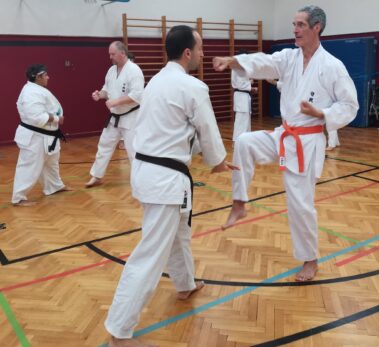 24./25. September 3. Shubukan Seminar Frankfurt mit Jan Gyuris Sensei