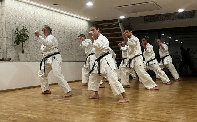 Kleiner Wald 100 Kata Challenge 2022 Kleiner Wald 100 Kata Challenge 2022, Matsumura No Passai