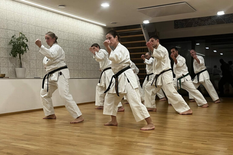 Kleiner Wald 100 Kata Challenge 2022, Matsumura No Passai