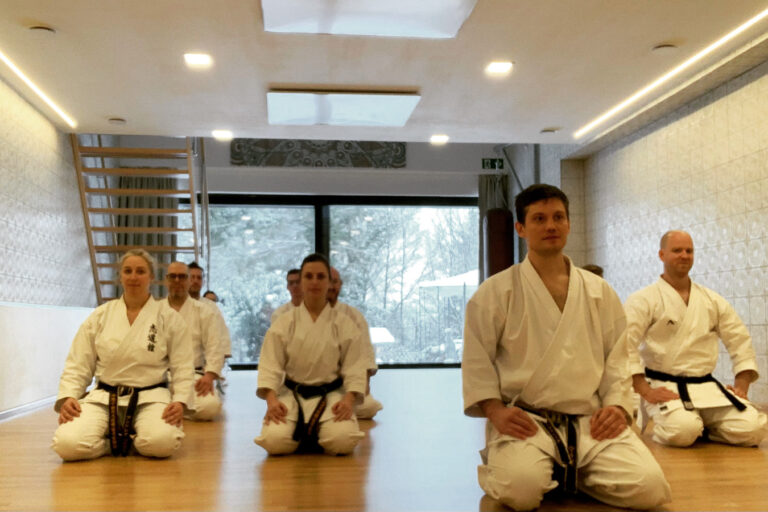 Teil 1 der Seminar Serie mit Takafumi Sensei